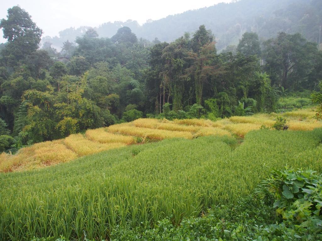 Kowitfarmstay Ban Mae Pan Noi Exterior foto